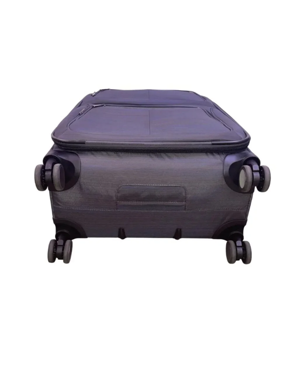 Ricardo Men’s Gray & Blue Blend Nylon 4-Wheel Spinner Expandable Travel Luggage